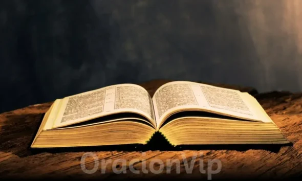 Leamos la biblia | Proverbios