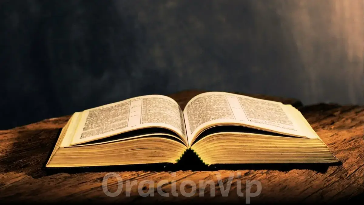 Leamos la biblia | Proverbios