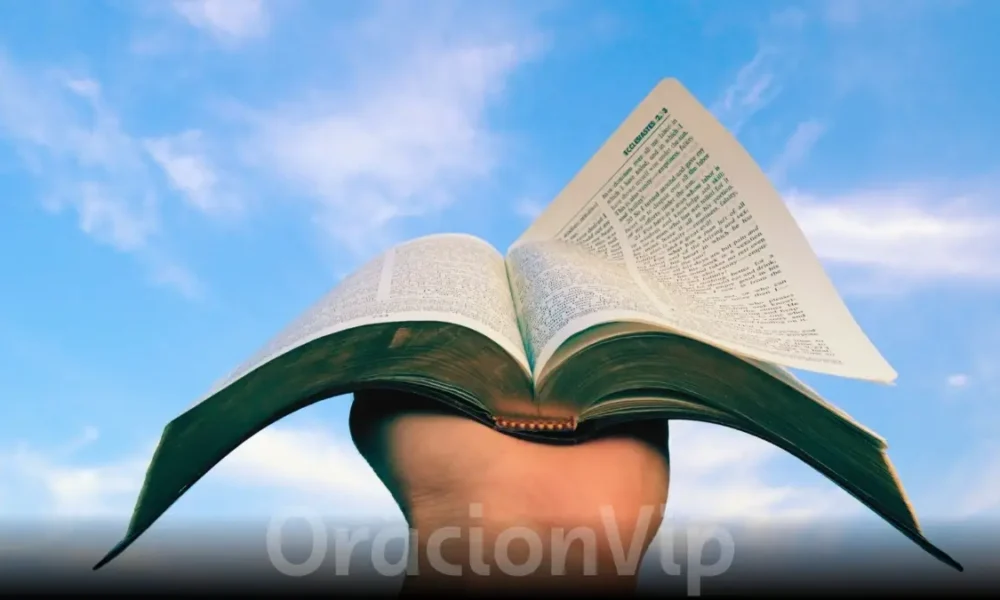 en vivo | Porque leer la biblia