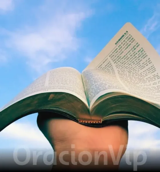 en vivo | Porque leer la biblia